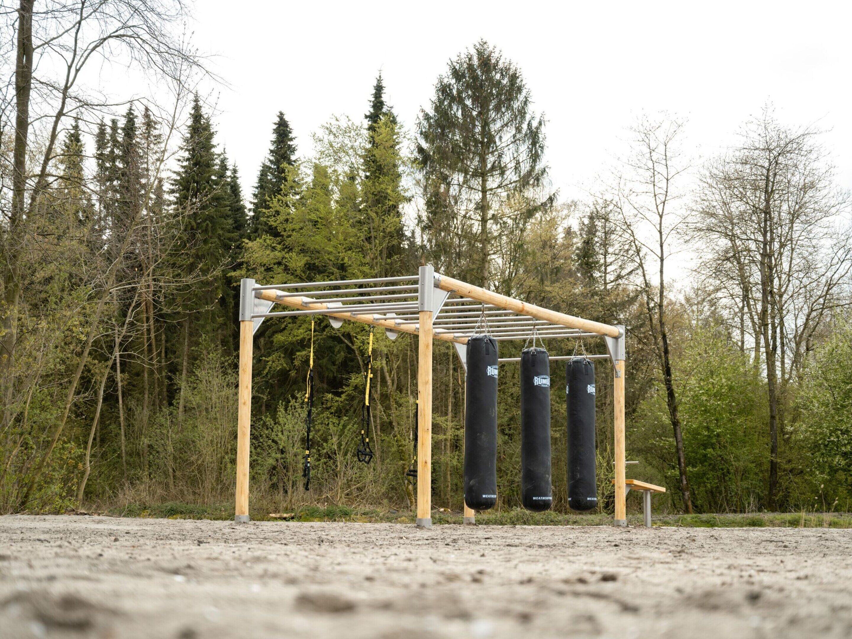 A gym setup with a pull-up bar and three punching bags.