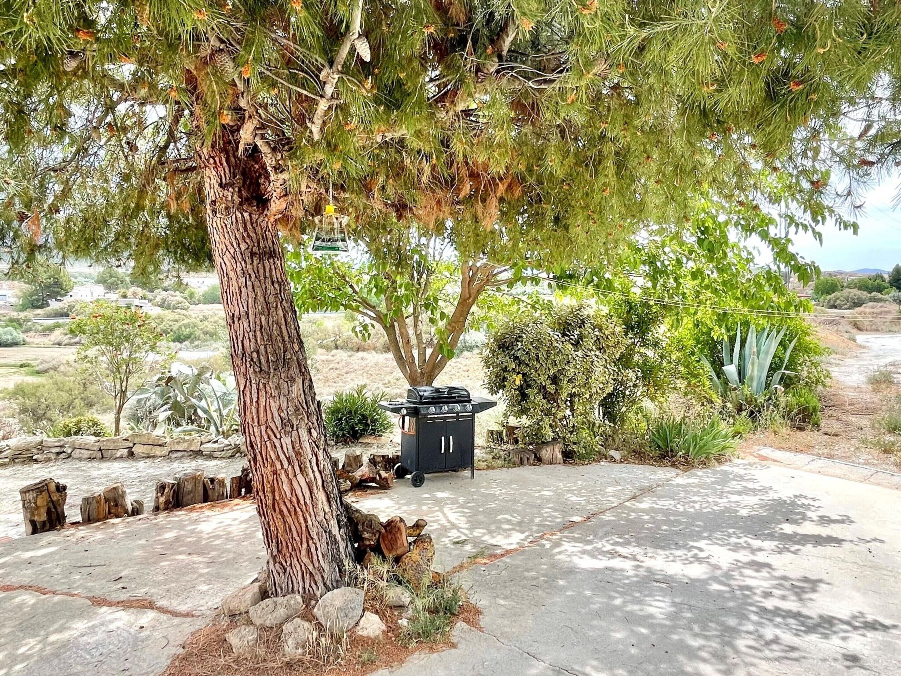Un sentier bordé d’arbres, avec un barbecue et une petite table, le tout entouré de différentes plantes et arbres.