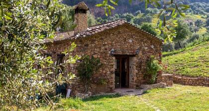 Casa El Garciago Designed for Nature Lovers