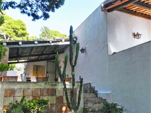 Escada que leva a uma porta, com um cacto em primeiro plano e uma pérgula acima.