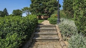 A stone staircase leading up to a building surrounded by lush greenery and a street lamp. - Villa Miniato Comfortable Holiday Residence (San Miniato)