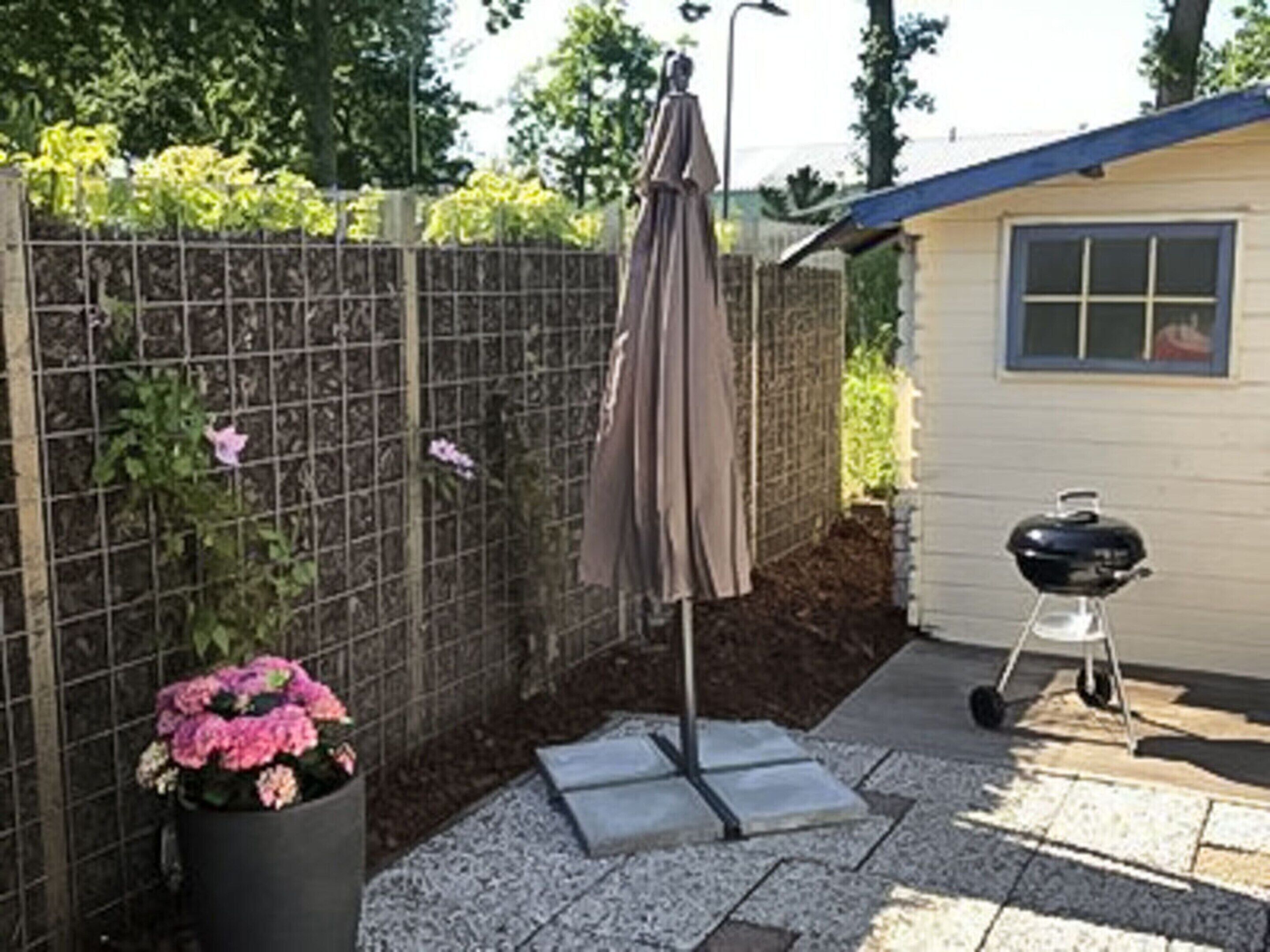 A backyard with a grill, a potted plant with pink flowers, a metal fence, and a small shed.
