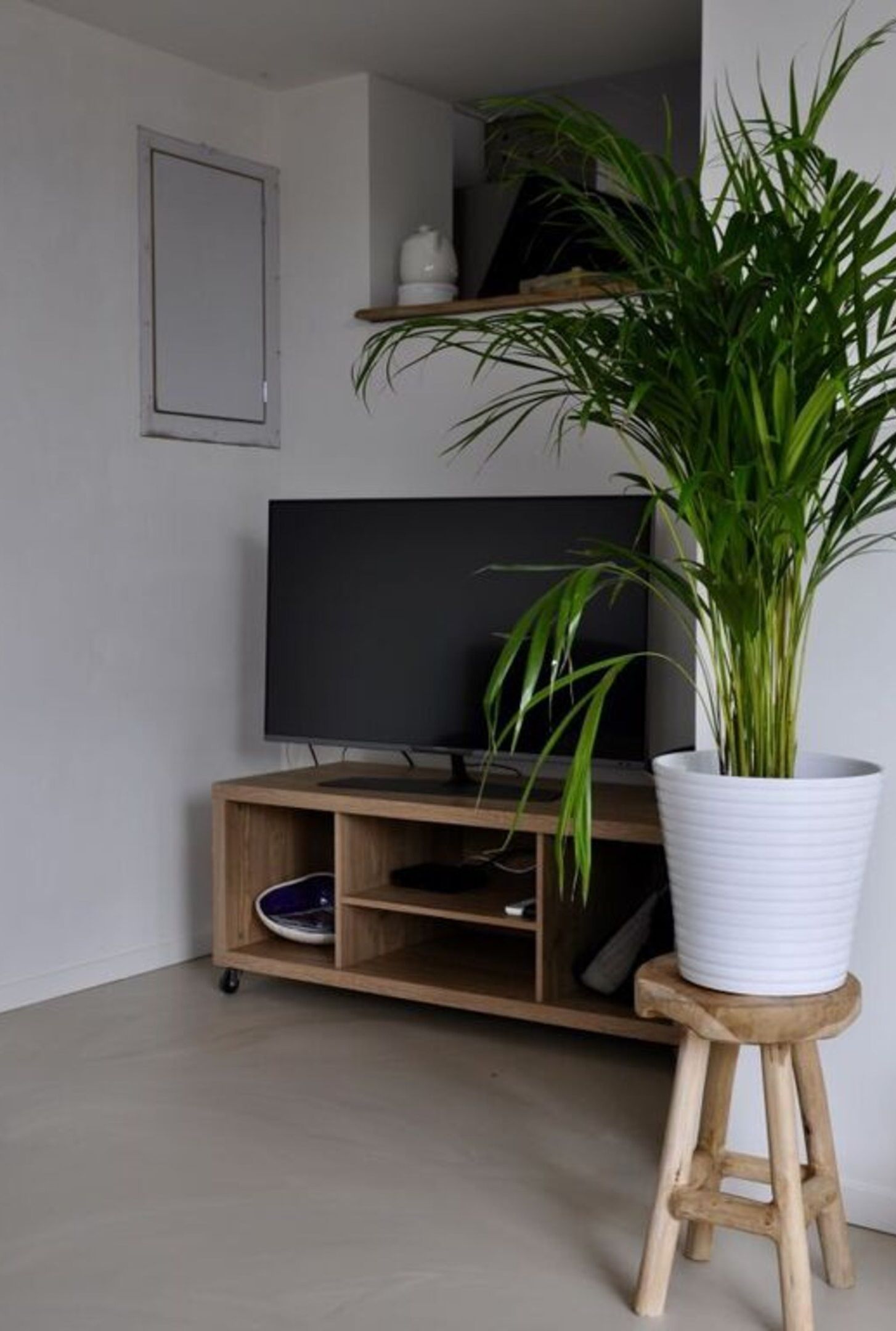 A modern living room with a flat-screen TV on a wooden stand, a potted plant on a stool, and a shelf with decorative items.
