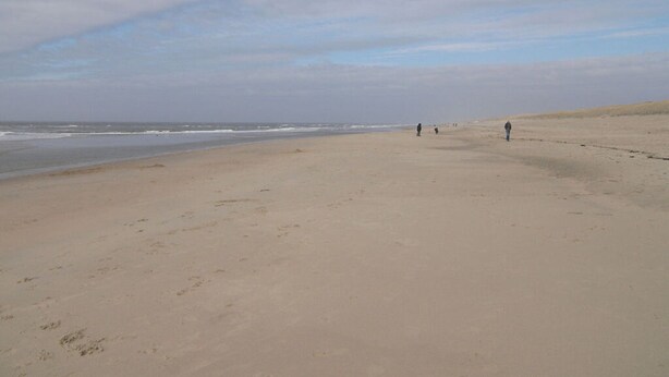 Ranta