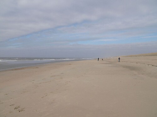 Beach Pearl Julianadorp