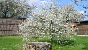 A stone planter with a tree in a garden. - Sachon Comfortable Holiday Residence (Nebelschütz)
