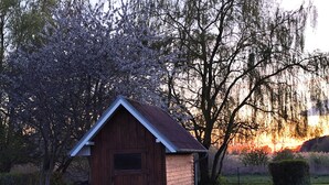 Een klein houten tuinhuis met een schuine kap, omgeven door gras en bomen.