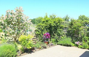 Ferienhaus | Garten