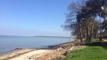 House | View from property