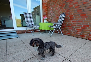 A dog standing on a tiled patio with chairs and a table. - Familienfreundliche Haushaelfte in Alt Bukow (Alt Bukow)