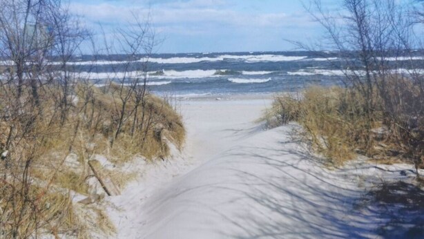 A sandy path leading to the ocean with sparse vegetation on either side. - Dreamtime Modern Retreat (Zinnowitz)