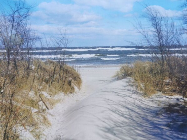 Beach - Dreamtime Modern Retreat (Zinnowitz)