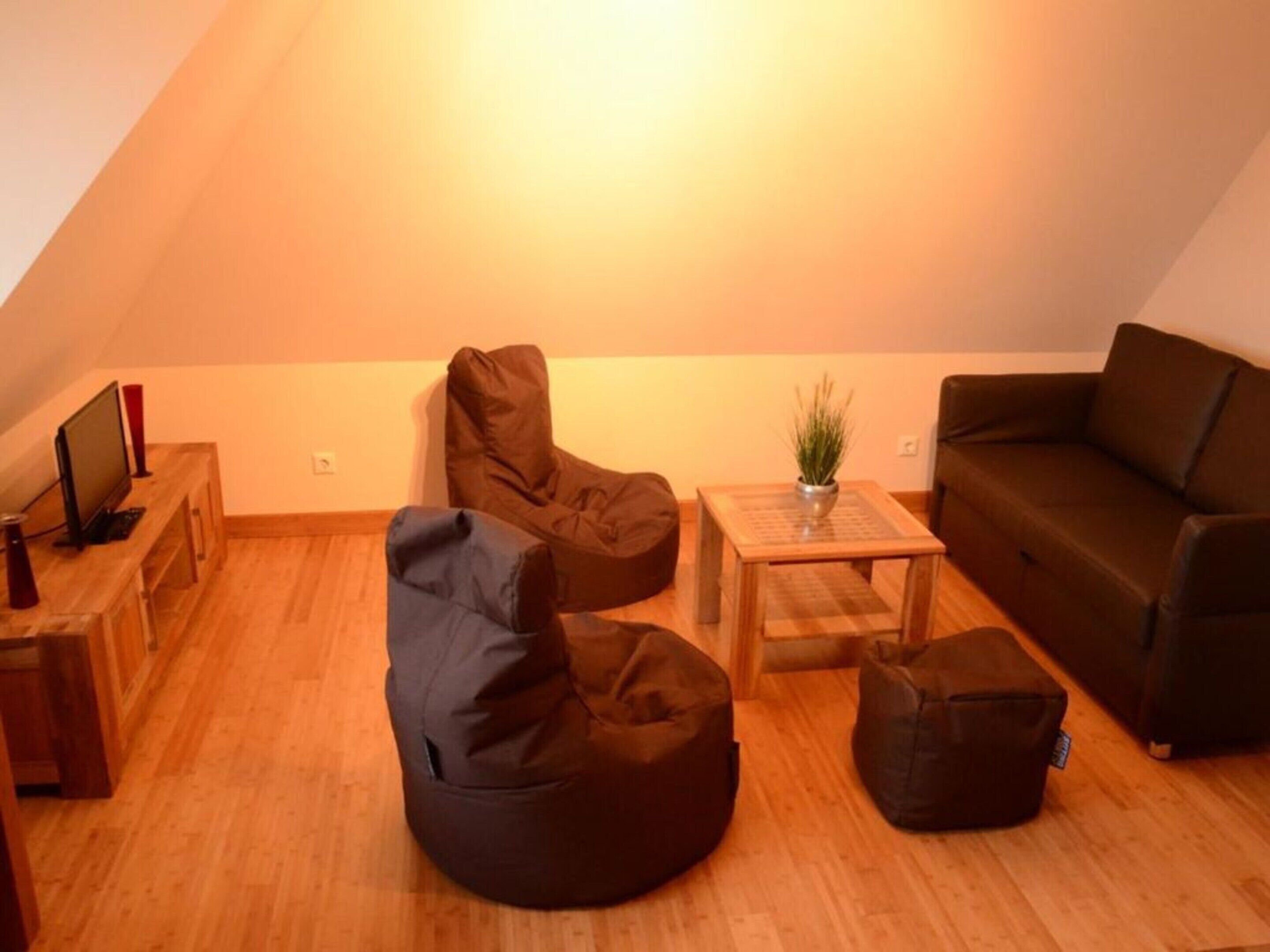 A cozy loft-style living room with a wooden floor, a brown sofa, a bean bag chair, a small table with a plant, and a TV on a wooden stand.