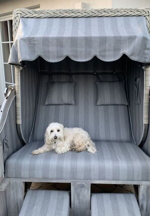 En hund ligger på en grå, vadderad bänk under ett randigt solskydd.
