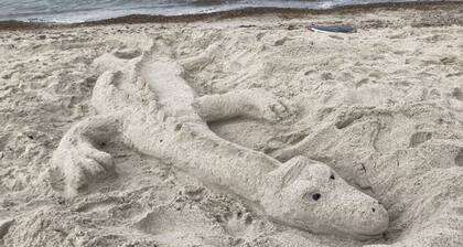 Am Stadtwald Apartment 3