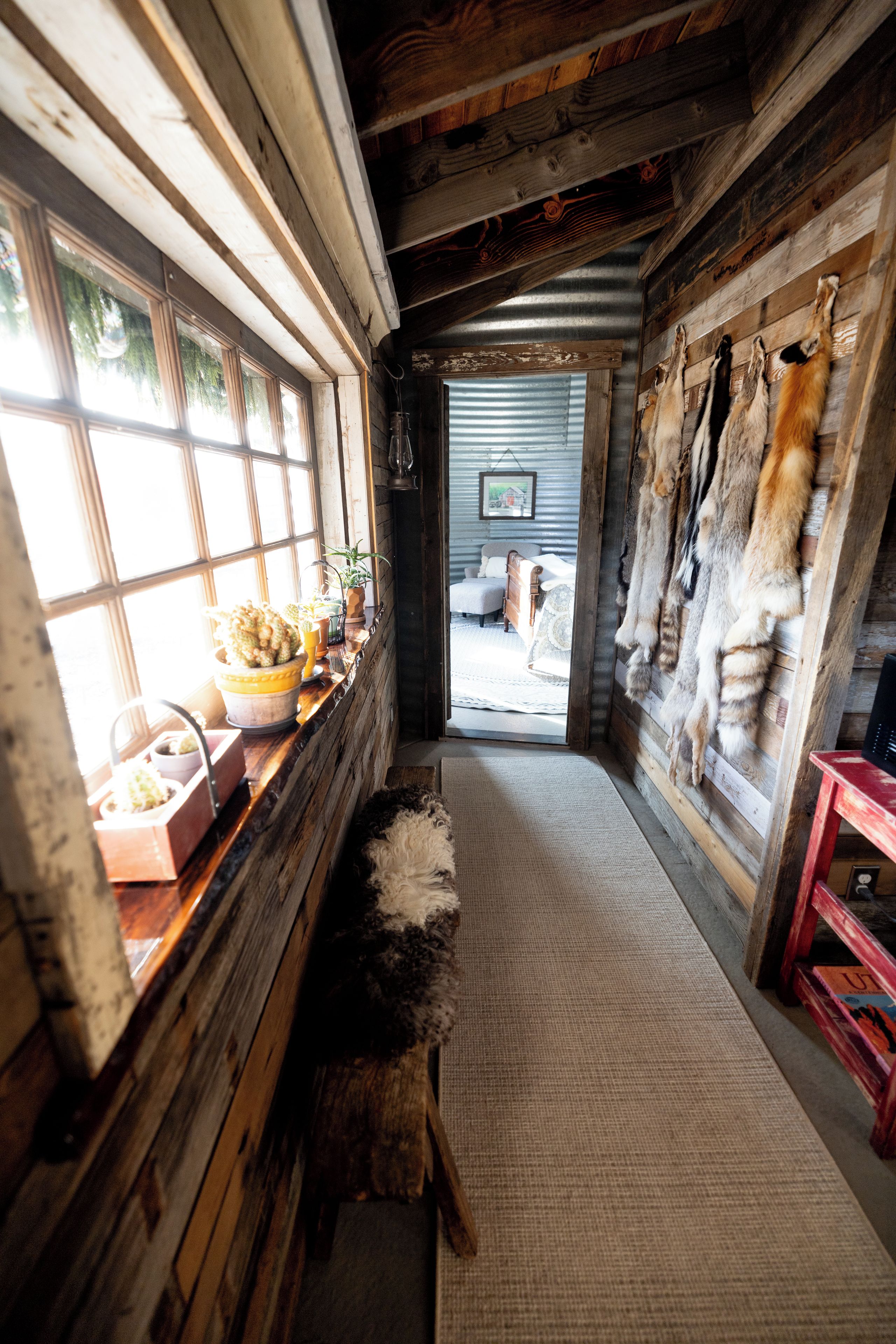 A rustic hallway with wooden walls, a bench, and a display of animal pelts.