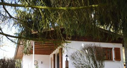 Panorama Comfortable Holiday Residence