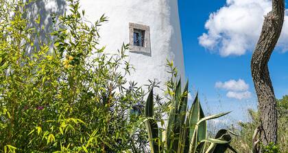 Ericeira Windmill by Hopstays | Wild Refuge