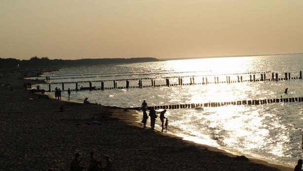 Beach - Villa Balticum Modern Retreat (Zingst)