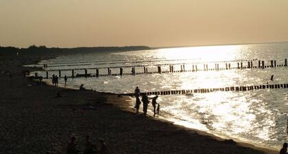 Villa Balticum Modern Retreat