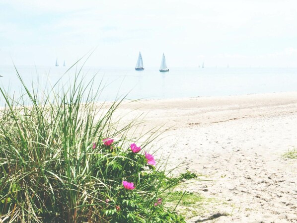 Blick von der Unterkunft