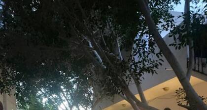 Red Oasis - 3 Bed Rooms / 3 Bath Rooms Villa