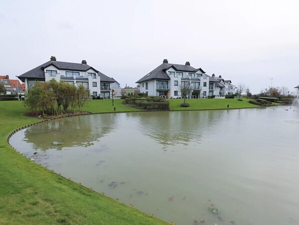 A residential area with modern houses, a pond, and a well-maintained lawn.
