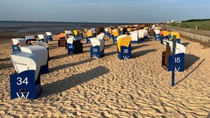 Les chaises de plage numérotées 34, 35, 38, 39, 44 et 42 sont disposées en rangées sur une plage de sable, avec l’océan en arrière-plan.