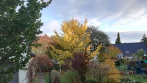 A garden with a variety of trees, a pathway, and a small lawn area. - Apartment at the Knappensee in Gross Sarchen (Ebersbach-Neugersdorf)