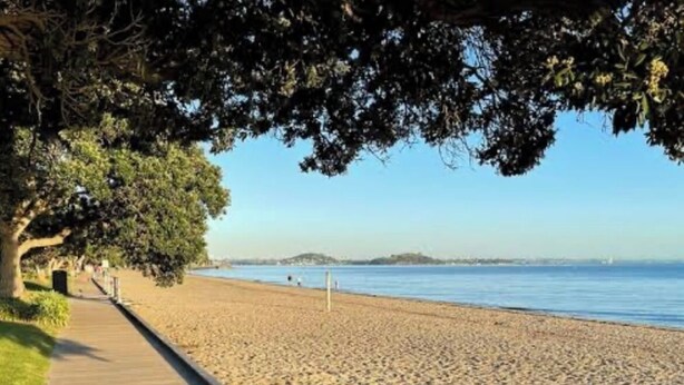 Un muelle de madera que conduce a una playa arenosa, con una vista despejada del mar y colinas distantes.