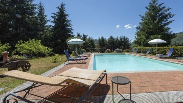 Una piscina rectangular con sillas de descanso y sombrillas, rodeada de follaje y árboles.