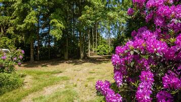 Bungalow | Eksterior