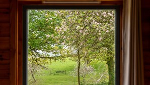 Una ventana con vista a un árbol de flores rosadas y un campo cubierto de hierba.
