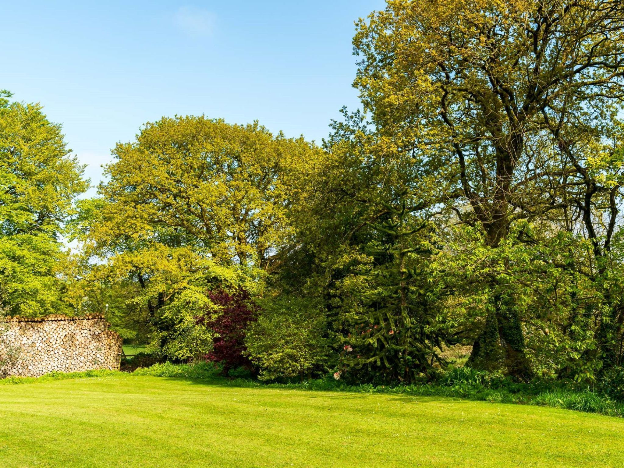 A well-maintained lawn with a stone wall and various trees.