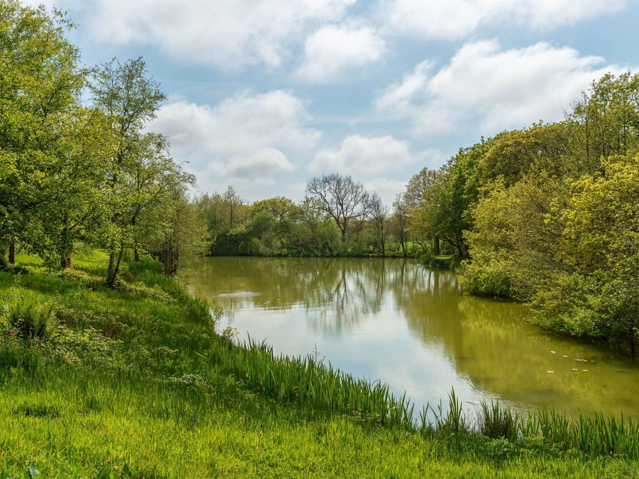 A serene lake surrounded by lush greenery and trees.