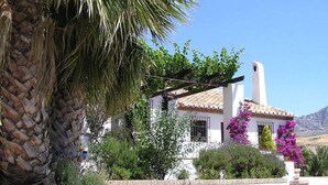 Un bâtiment blanc avec un toit en tuiles, entouré de verdure et d’un palmier.
