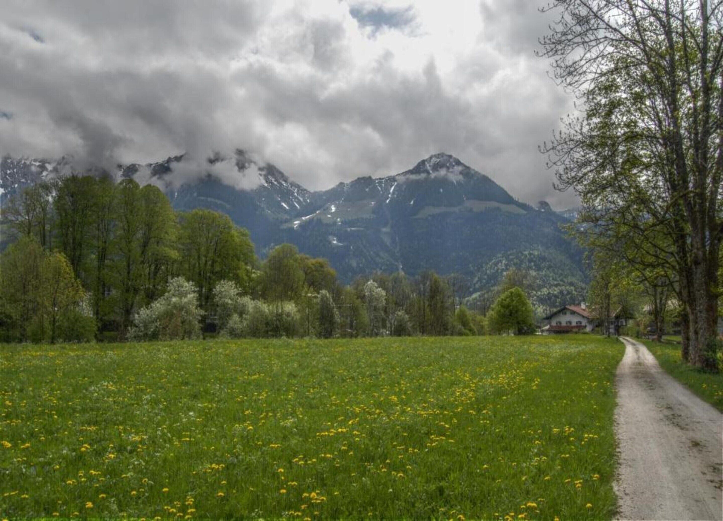A rural landscape with a dirt road, green fields, and mountains in the background.
