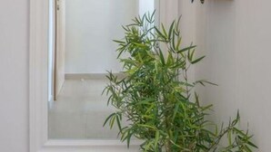 Une pièce avec une porte blanche, une plante en pot et un sac suspendu.