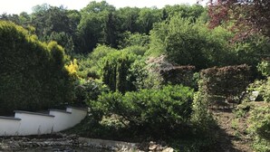A wooden deck with a pond and surrounding vegetation.