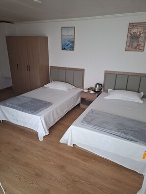 Business Double or Twin Room, City View | Premium bedding, down duvets, individually decorated - NLM EXPRESS HOTEL (Iquique)