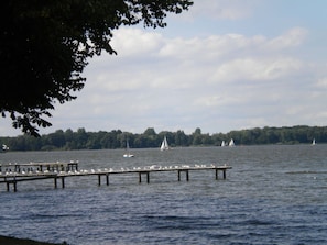 A pier extending into a body of water with several sailboats and seagulls.