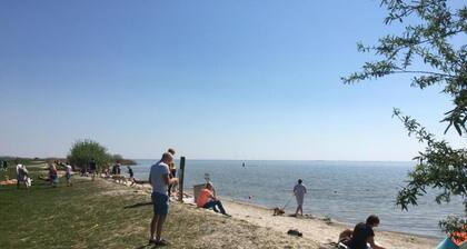 Sunny Apartment Directly on the Heegermeer