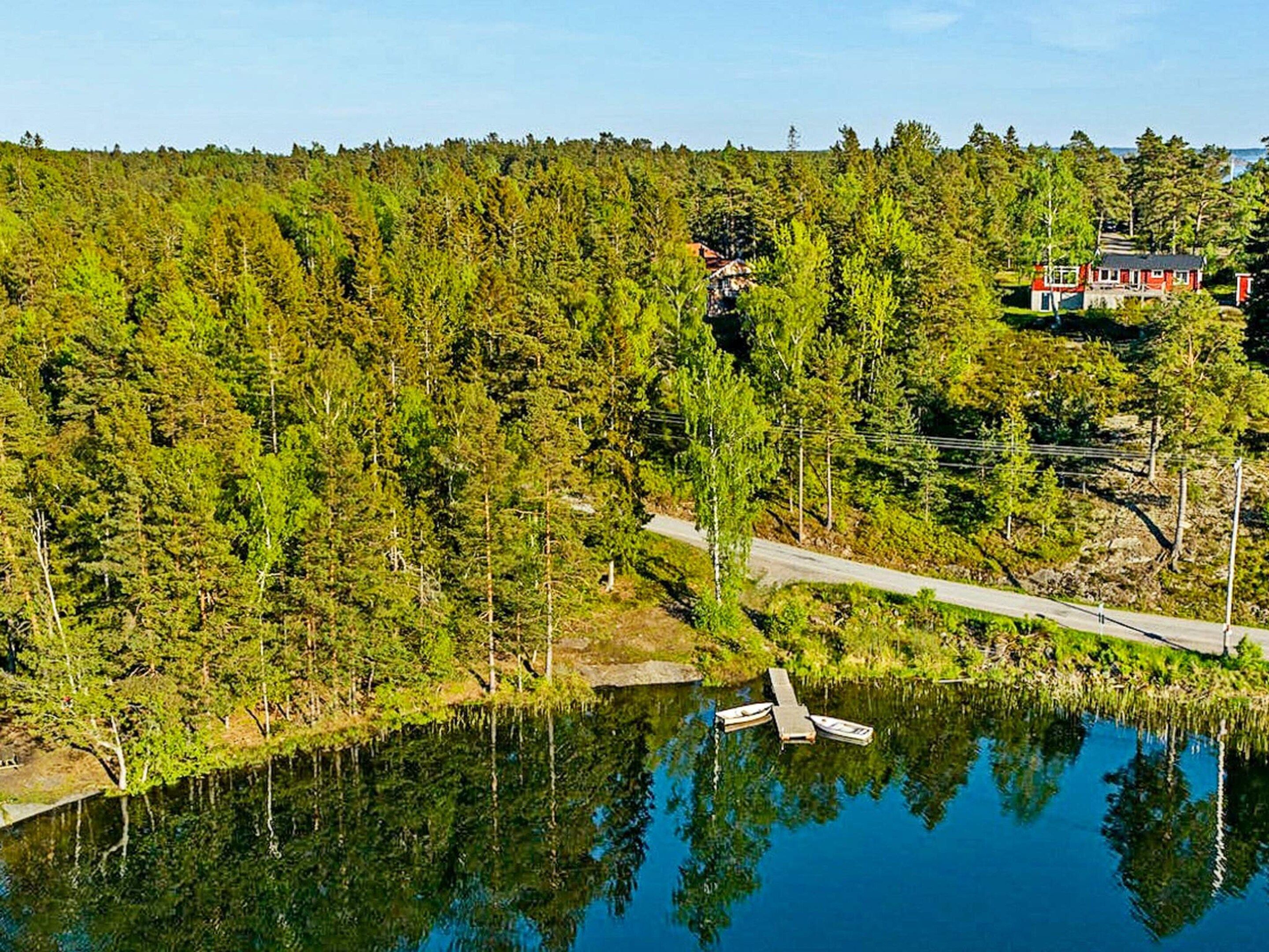 A forested area with a dock extending into a calm body of water, surrounded by dense trees and a distant house.