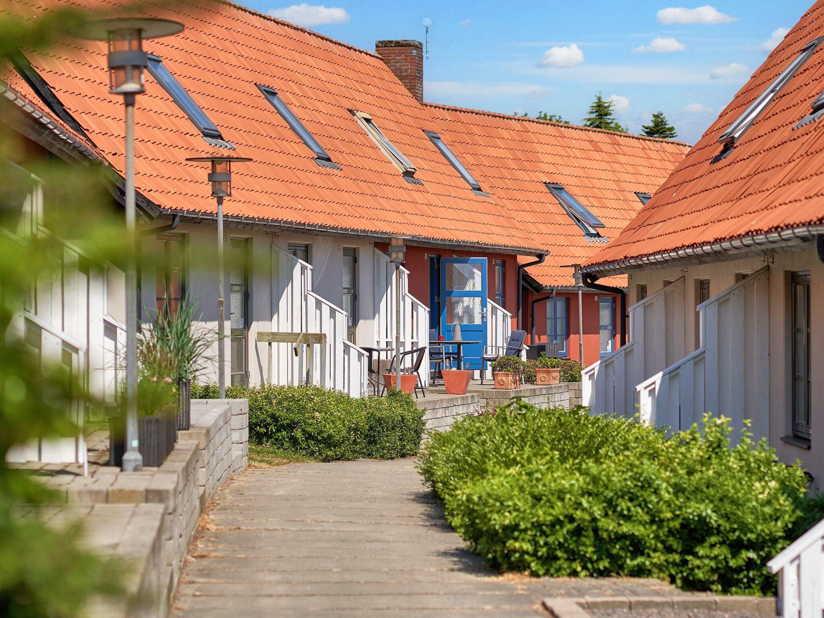 A narrow pathway leading to a row of buildings with red-tiled roofs and multiple skylights.