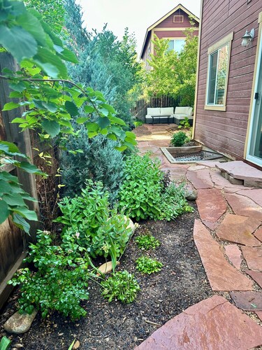 Downtown Carbondale Duplex with Enclosed Yard, no cleaning fee 