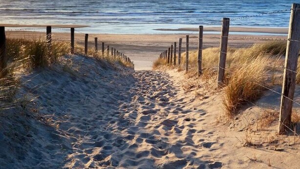 Un sentier de sable qui longe la plage et mène à l’océan, bordé de poteaux en bois et d’une clôture en fil de fer.