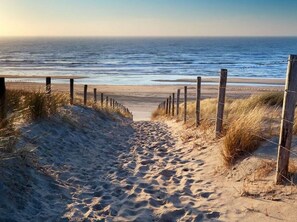 Beach nearby - Luxury Home Egmond (Egmond aan Zee)