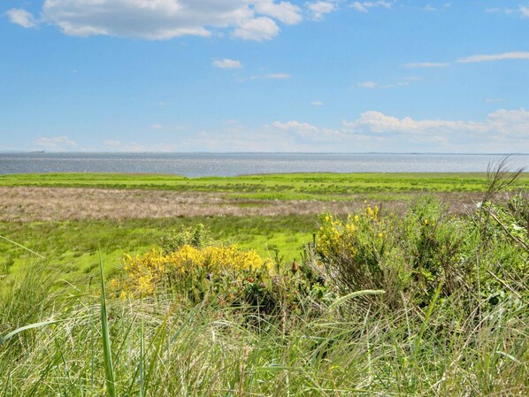 Un paysage côtier offrant une vue sur la mer et des champs couverts d’herbe.