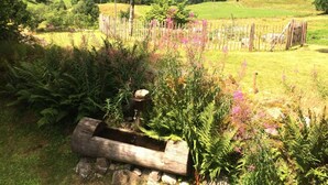 Een tuin met een houten waterbak, varens en bloeiende planten.