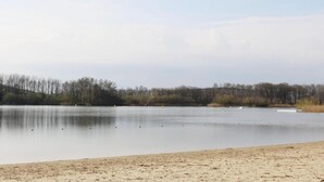 Un lac paisible, avec une plage de sable et une zone boisée en arrière-plan.